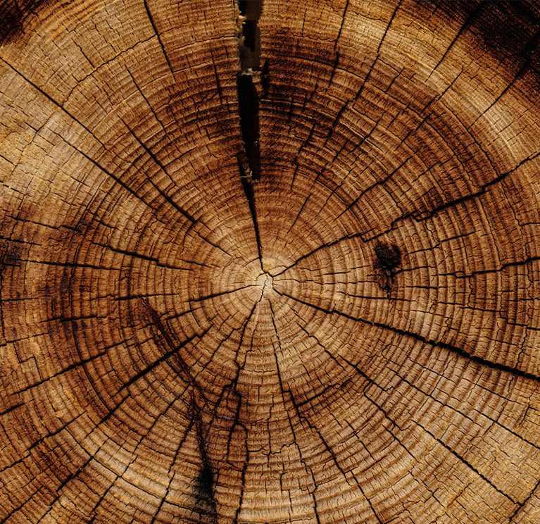 Comfort Zone Anecdote Candles