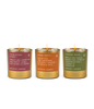 Holiday Host Bundle - Anecdote Candles