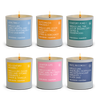 Best Seller Tumbler Bundle - Anecdote Candles