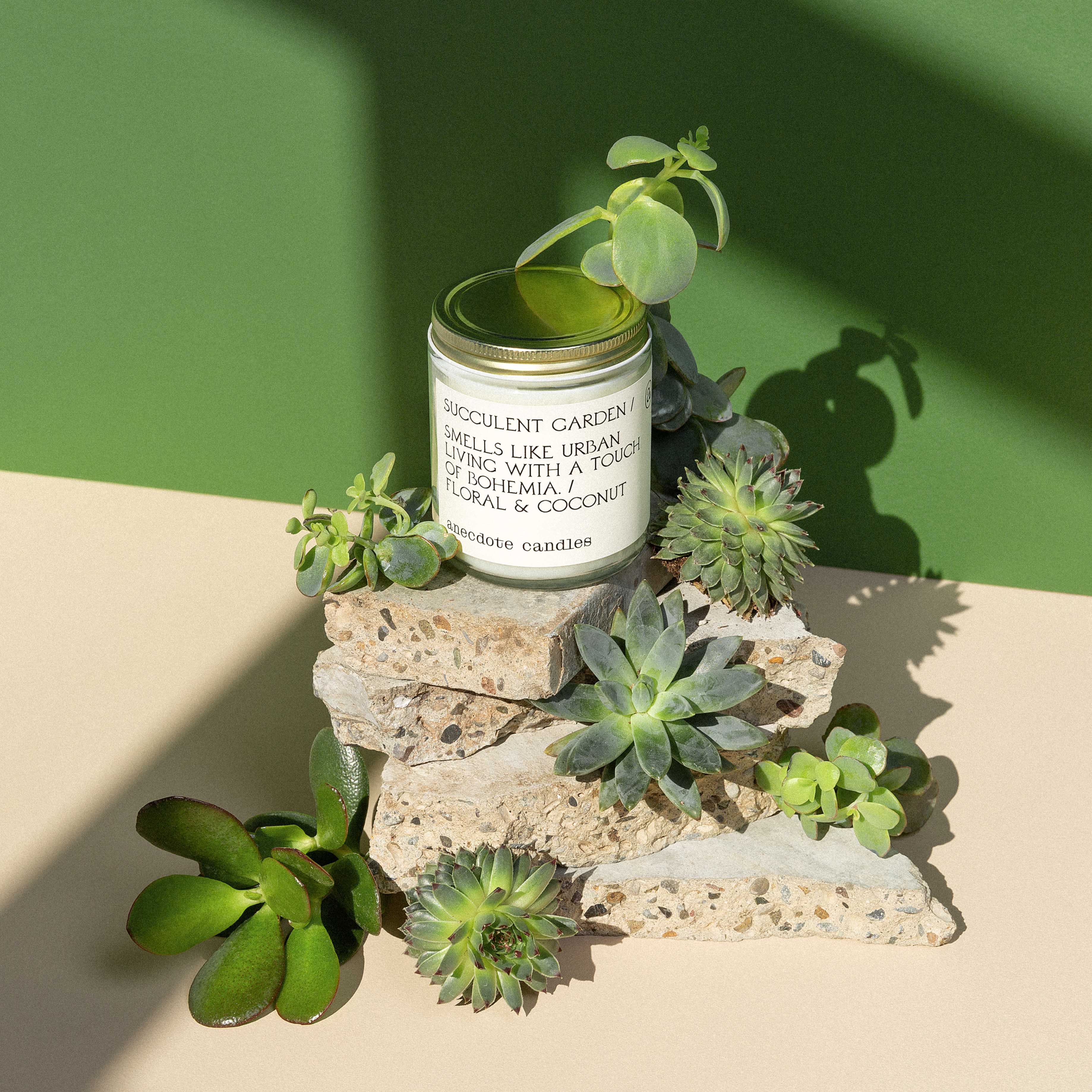 Succulent Garden - Anecdote Candles